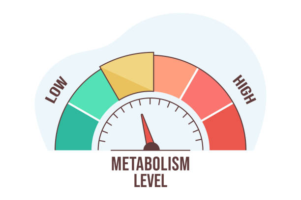 Metabolizmam yavaş, o yüzden kilo veremiyorum. Ne yapmalıyım?